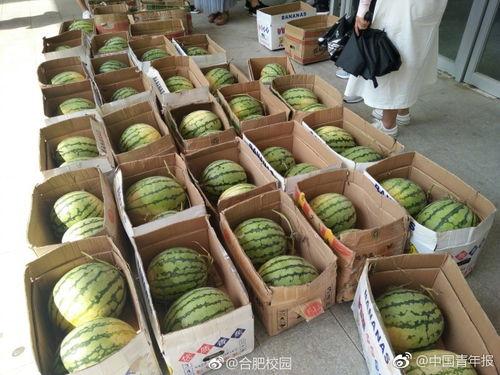 合肥市吃瓜网,揭秘本地美食风云，带你畅游舌尖上的合肥