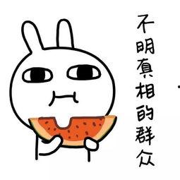 娱乐吃瓜酱赚钱,揭秘网络红人如何轻松月入过万