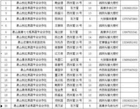 娱乐性质的瓜怎么吃,如何轻松享用娱乐八卦大餐