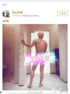 吃瓜猪娱乐视频