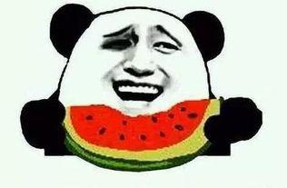 娱乐吃瓜最后一集是什么,揭秘娱乐圈真相，悬念揭晓！